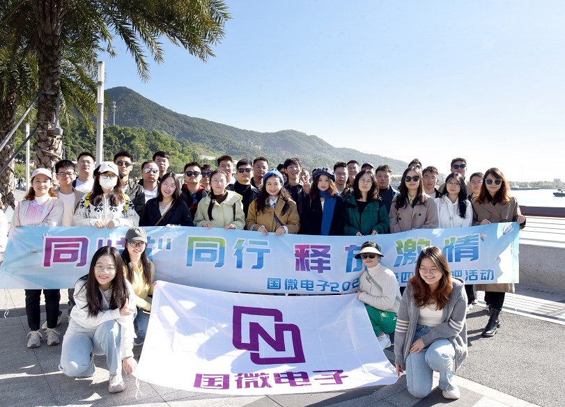 国微|微电子|芯片