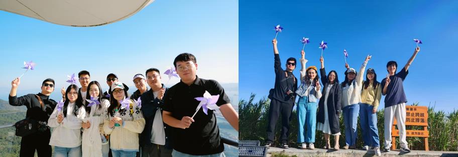 国微|微电子|芯片