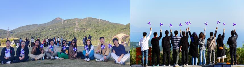 国微|微电子|芯片