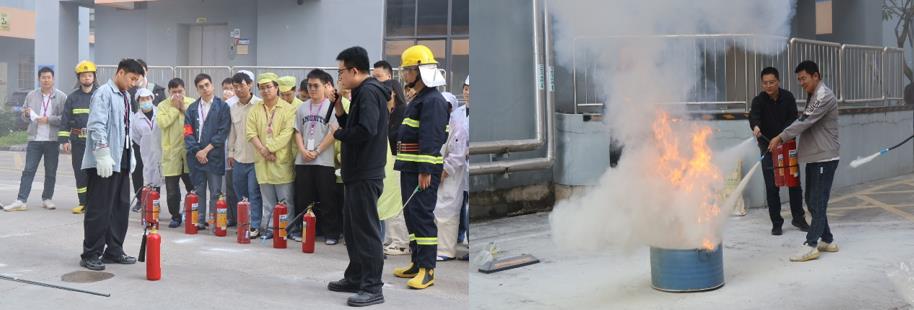 国微|微电子|芯片