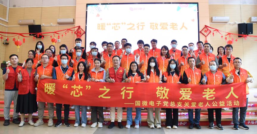 国微|微电子|芯片