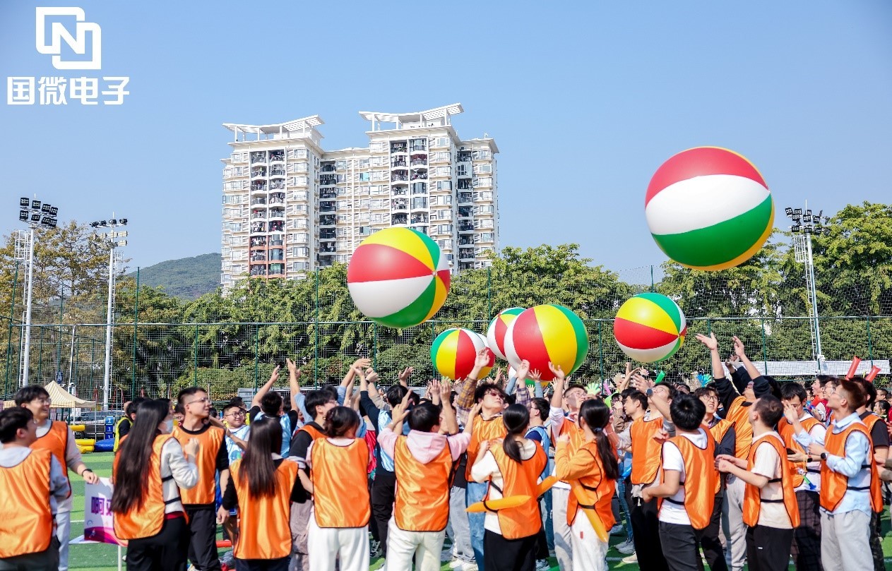 国微|微电子|芯片