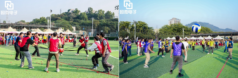 国微|微电子|芯片