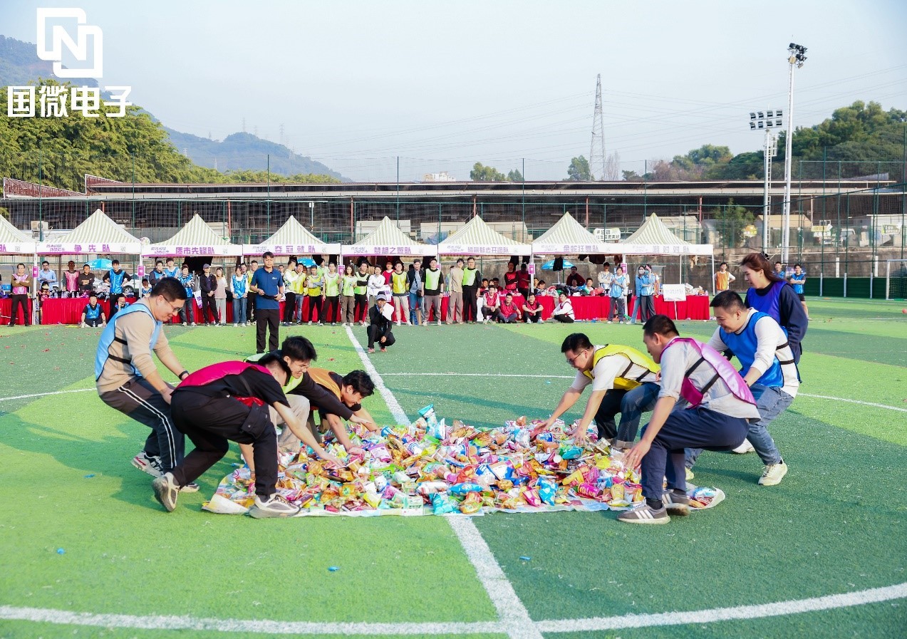 国微|微电子|芯片
