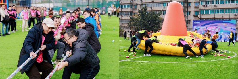 国微|微电子|芯片