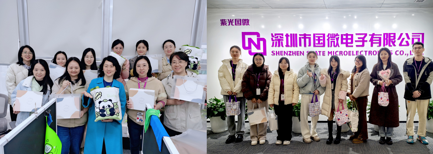 国微|微电子|芯片