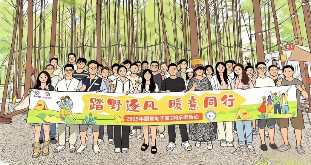 国微|微电子|芯片 国微|微电子|芯片
