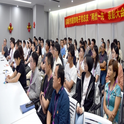 同“芯”向党，榜样领航——多多28党总支“两优一先”表彰大会