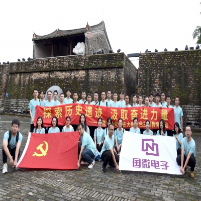 探索历史遗迹，汲取奋进力量——多多28党总支大鹏红色主题教育活动